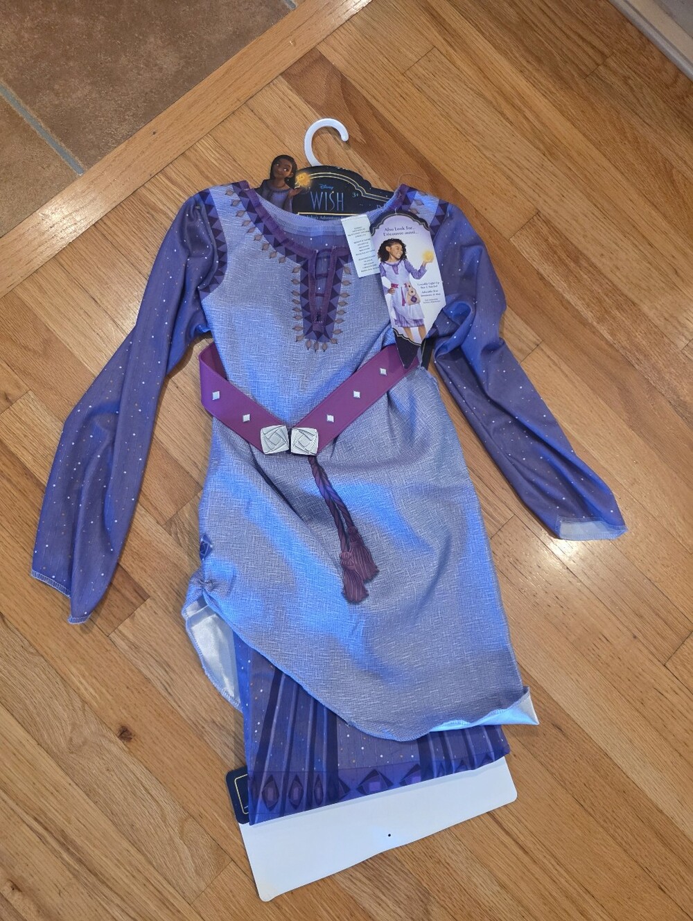 Disney Wish Costume